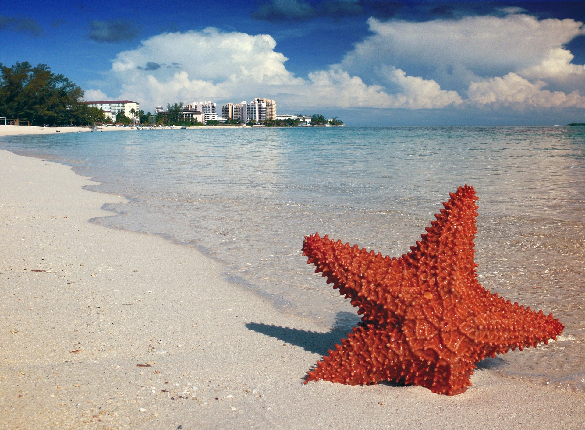 combien de jours aux Bahamas plage étoile de mer
