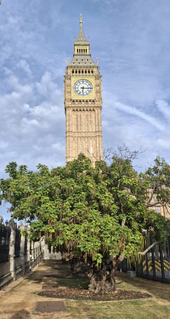 Big Ben, incontournable d'un city-trip à Londres